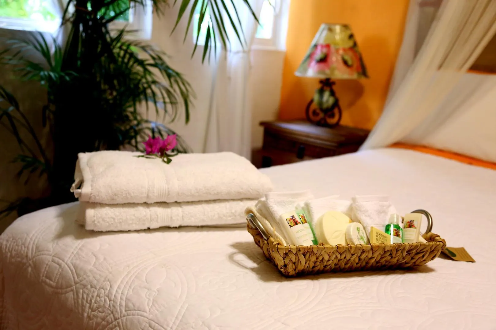 Bed & Breakfast The Mexican Inn Cabo San Lucas