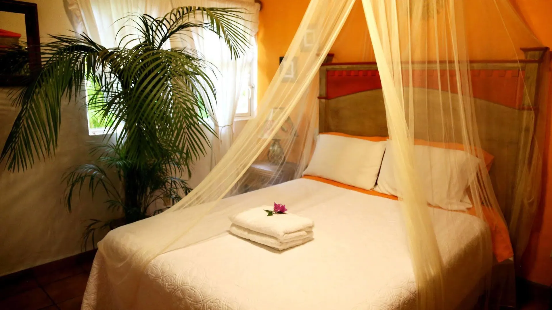 Bed & Breakfast The Mexican Inn Cabo San Lucas